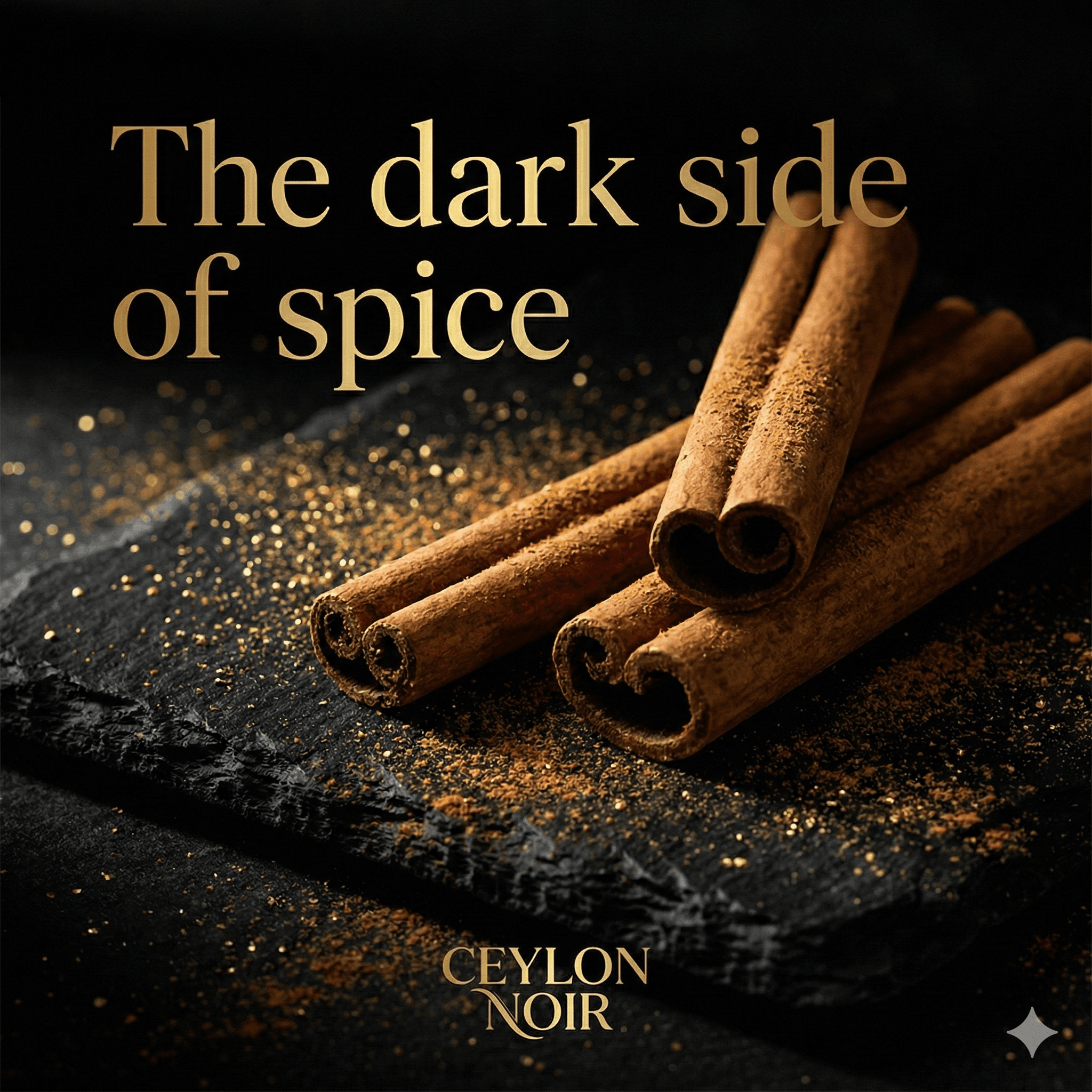 Ceylon cinnamon quills on dark slate